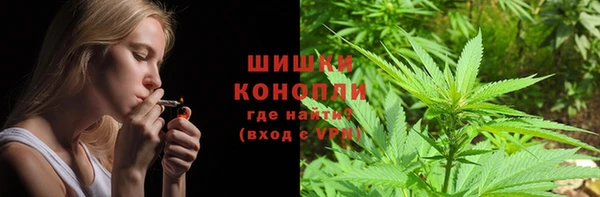спиды Бородино