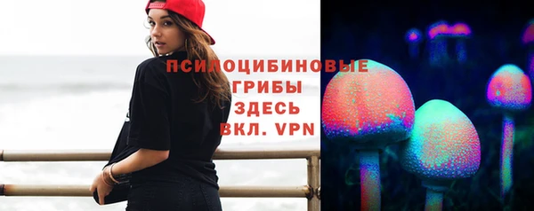 МДПВ Бугульма
