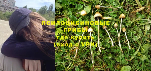 2c-b Верхний Тагил