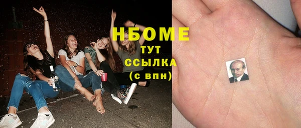спиды Бородино