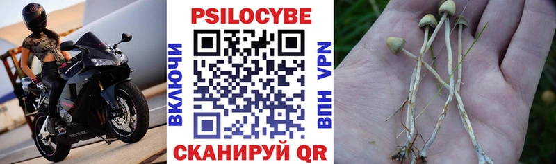 Купить где  Кубинка  Псилоцибиновые грибы мухоморы 